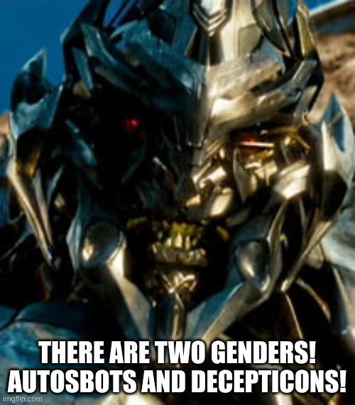 Megatron | THERE ARE TWO GENDERS! AUTOSBOTS AND DECEPTICONS! | image tagged in megatron | made w/ Imgflip meme maker