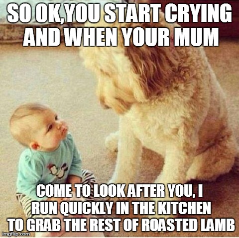 SO OK,YOU START CRYING AND WHEN YOUR MUM COME TO LOOK AFTER YOU, I RUN QUICKLY IN THE KITCHEN TO GRAB THE REST OF ROASTED LAMB | image tagged in baby and big doggy | made w/ Imgflip meme maker