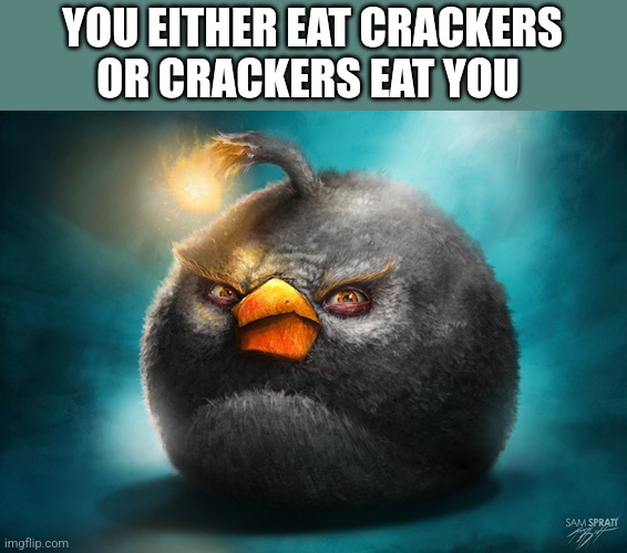 Fax | YOU EITHER EAT CRACKERS OR CRACKERS EAT YOU | image tagged in realistic bomb angry bird | made w/ Imgflip meme maker