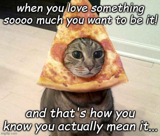 If You Love Something, You Will Be Something | when you love something soooo much you want to be it! and that's how you know you actually mean it... | image tagged in pizza cat | made w/ Imgflip meme maker