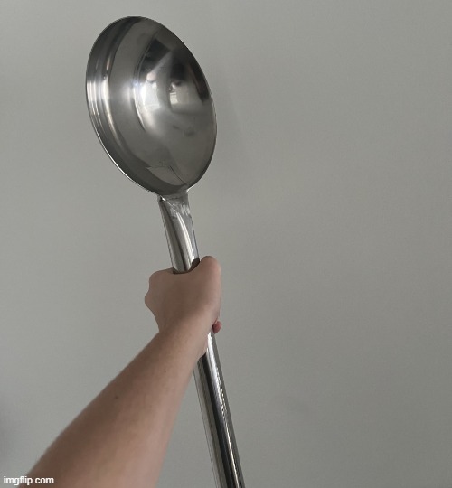 Memesoon’s spoon | image tagged in memesoon s spoon | made w/ Imgflip meme maker