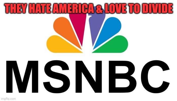 MsNBC hates America | THEY HATE AMERICA & LOVE TO DIVIDE | image tagged in msnbc | made w/ Imgflip meme maker