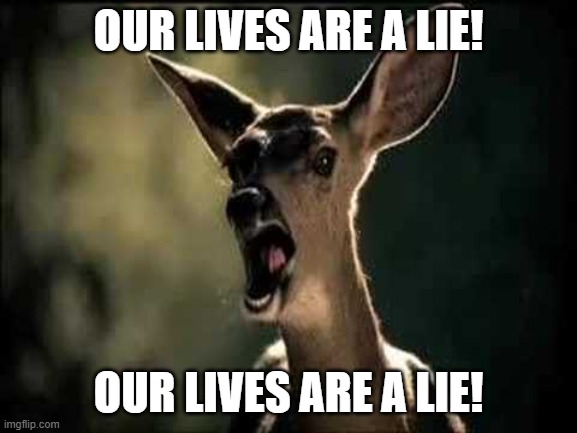 bambi panics | OUR LIVES ARE A LIE! OUR LIVES ARE A LIE! | image tagged in deer scream,bambi,memes,panic,public domain | made w/ Imgflip meme maker