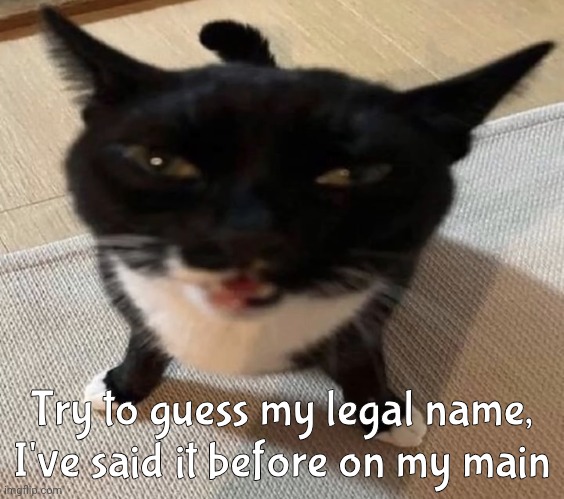 Cat of anger | Try to guess my legal name, I've said it before on my main | image tagged in cat of anger | made w/ Imgflip meme maker