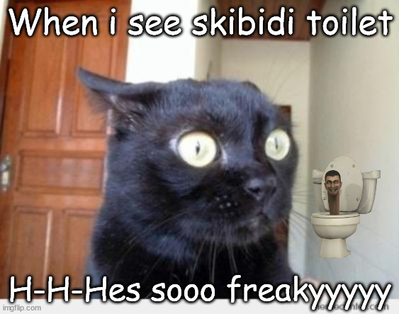Skibidi Toilets Freaky | When i see skibidi toilet; H-H-Hes sooo freakyyyyy | image tagged in scared cat | made w/ Imgflip meme maker