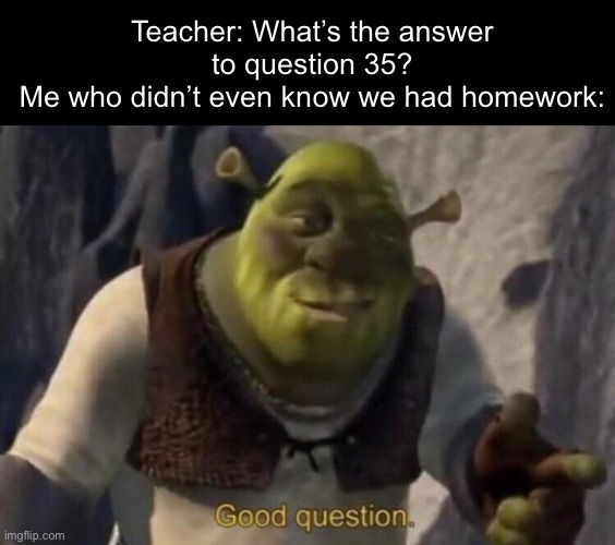 I’d rather just sleep lmao | Teacher: What’s the answer to question 35?
Me who didn’t even know we had homework: | image tagged in shrek good question | made w/ Imgflip meme maker