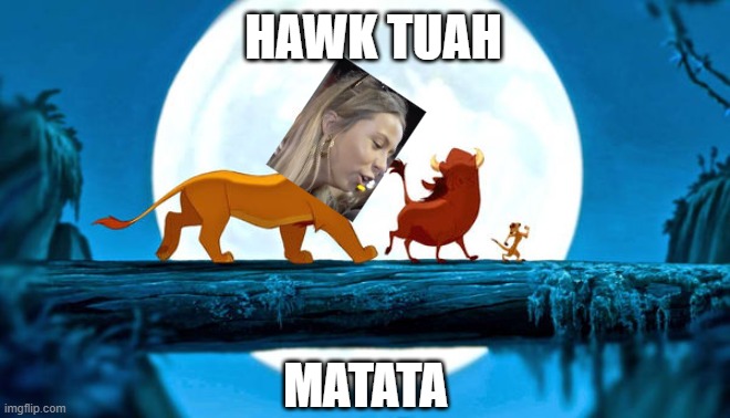 Hawk Tuah Matata | HAWK TUAH; MATATA | image tagged in lion king,hawk tuah,hakuna matata | made w/ Imgflip meme maker
