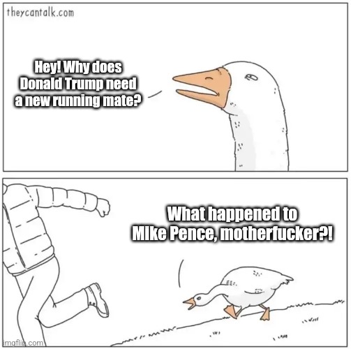 Goose chasing meme from original | Hey! Why does Donald Trump need a new running mate? What happened to Mike Pence, motherfucker?! | image tagged in goose chasing meme from original | made w/ Imgflip meme maker