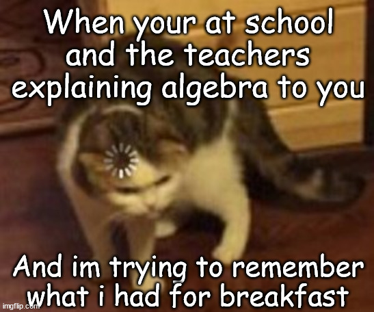 Whyyyyy | When your at school and the teachers explaining algebra to you; And im trying to remember what i had for breakfast | image tagged in loading cat | made w/ Imgflip meme maker