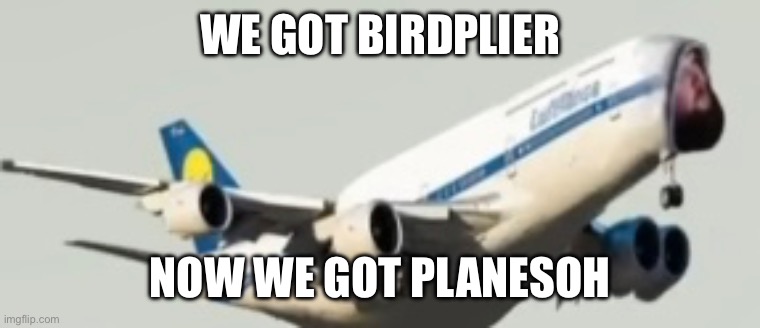 Plane CaseOh | WE GOT BIRDPLIER; NOW WE GOT PLANESOH | image tagged in caseoh,msmg | made w/ Imgflip meme maker