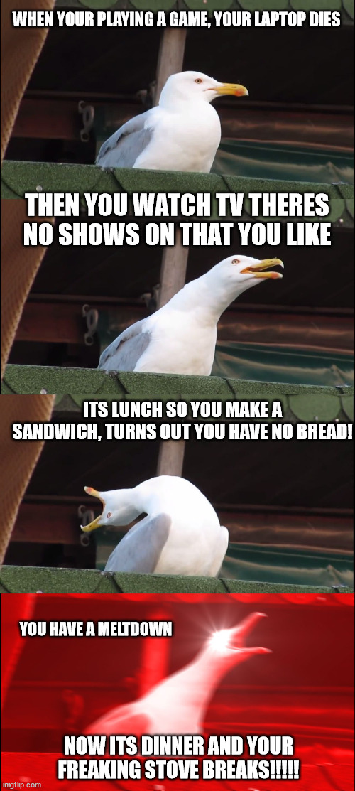 EGHHH its annoying | WHEN YOUR PLAYING A GAME, YOUR LAPTOP DIES; THEN YOU WATCH TV THERES NO SHOWS ON THAT YOU LIKE; ITS LUNCH SO YOU MAKE A SANDWICH, TURNS OUT YOU HAVE NO BREAD! YOU HAVE A MELTDOWN; NOW ITS DINNER AND YOUR FREAKING STOVE BREAKS!!!!! | image tagged in memes,inhaling seagull | made w/ Imgflip meme maker