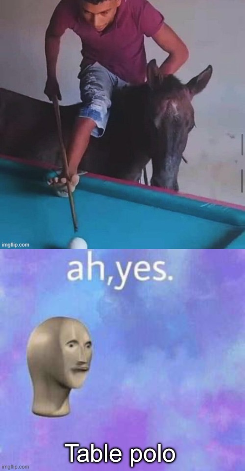 Pool table | Table polo | image tagged in ah yes,horse,pool,table | made w/ Imgflip meme maker