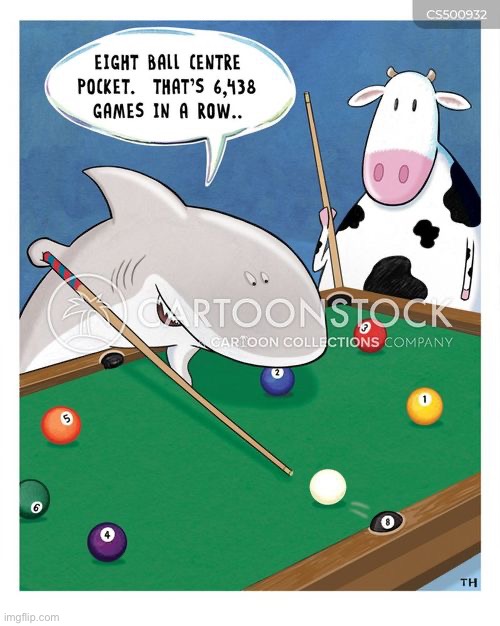 Pool shark | image tagged in shark,pool | made w/ Imgflip meme maker