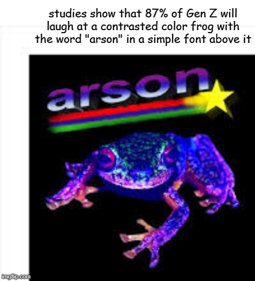 studies show that 87% of Gen Z will laugh at a contrasted color frog with the word "arson" in a simple font above it | made w/ Imgflip meme maker