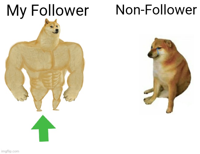 Follower vs Non-Follower | My Follower; Non-Follower | image tagged in memes,buff doge vs cheems | made w/ Imgflip meme maker