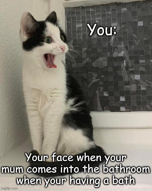 Yes, this happens | You:; Your face when your mum comes into the bathroom when your having a bath | image tagged in scared cat | made w/ Imgflip meme maker