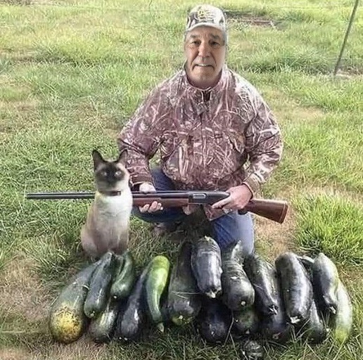 its zucchini season | made w/ Imgflip meme maker