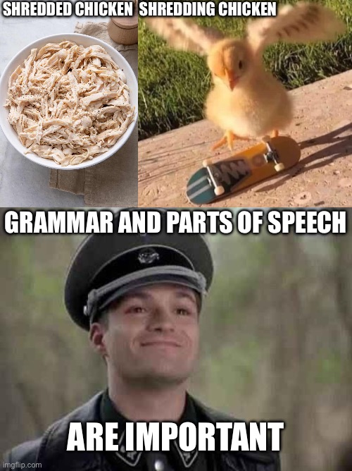 Chicken | SHREDDED CHICKEN  SHREDDING CHICKEN; GRAMMAR AND PARTS OF SPEECH; ARE IMPORTANT | image tagged in grammar nazi,grammar,shredder | made w/ Imgflip meme maker