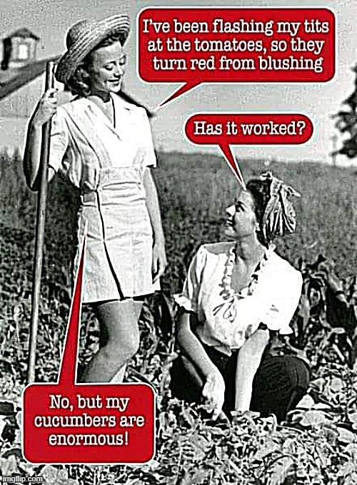 Gardening tips for ladies ! | image tagged in cucumber | made w/ Imgflip meme maker