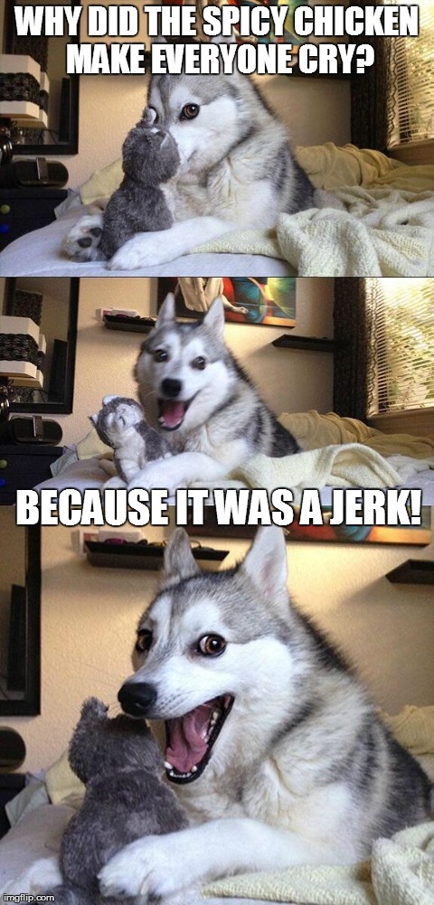 Bad Pun Dog Meme | WHY DID THE SPICY CHICKEN MAKE EVERYONE CRY? BECAUSE IT WAS A JERK! | image tagged in memes,bad pun dog | made w/ Imgflip meme maker