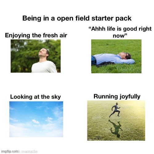 image tagged in starter pack,memes,repost,grass | made w/ Imgflip meme maker