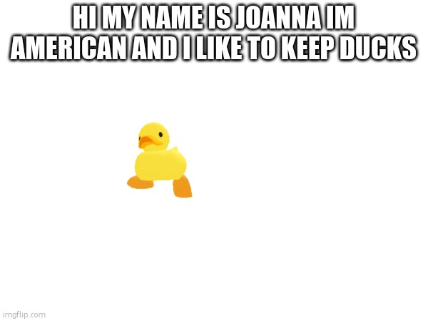 intro | HI MY NAME IS JOANNA IM AMERICAN AND I LIKE TO KEEP DUCKS | made w/ Imgflip meme maker