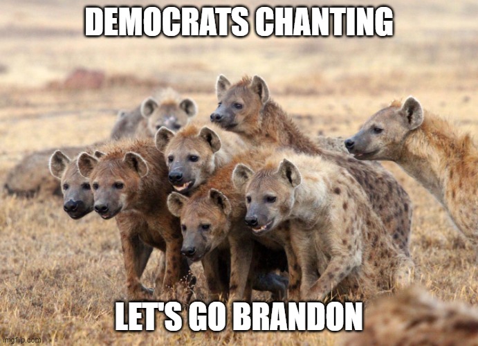 Hungry Hyenas | DEMOCRATS CHANTING; LET'S GO BRANDON | image tagged in hungry hyenas | made w/ Imgflip meme maker