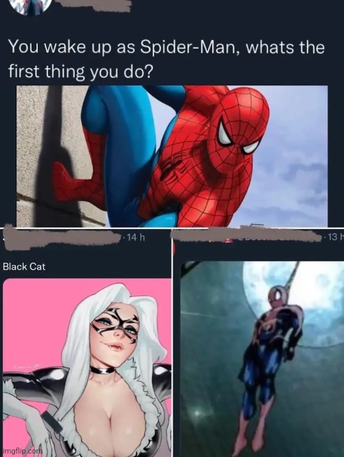 there are two types of Spider-Man fans | made w/ Imgflip meme maker