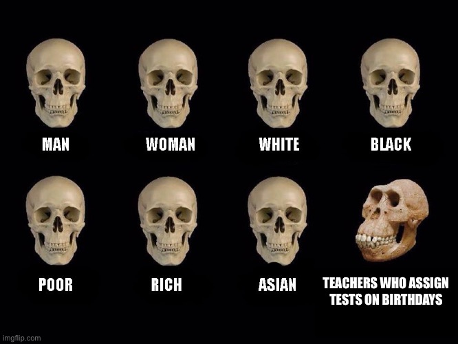 empty skulls of truth | TEACHERS WHO ASSIGN TESTS ON BIRTHDAYS | image tagged in empty skulls of truth | made w/ Imgflip meme maker