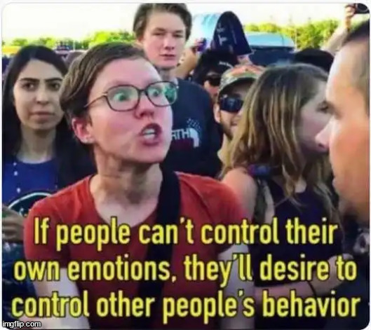 Their feelings are most important... | image tagged in triggered liberal | made w/ Imgflip meme maker