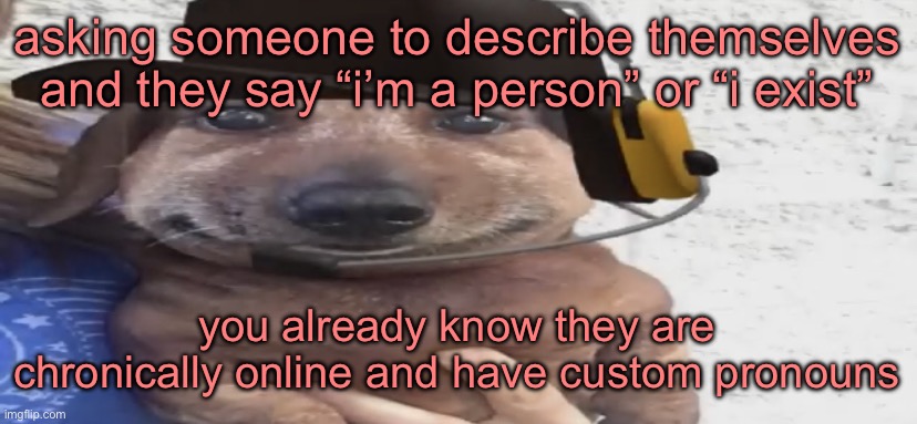 chucklenuts | asking someone to describe themselves and they say “i’m a person” or “i exist”; you already know they are chronically online and have custom pronouns | image tagged in chucklenuts | made w/ Imgflip meme maker