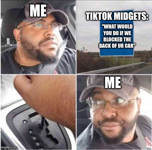 Guy reversing car | ME; TIKTOK MIDGETS:; "WHAT WOULD YOU DO IF WE BLOCKED THE BACK OF UR CAR"; ME | image tagged in guy reversing car | made w/ Imgflip meme maker