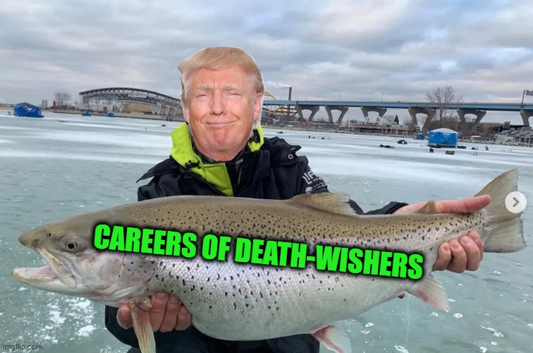 Tenacious D, a State Congress Staffer, a County Community Outreach Manager ... | CAREERS OF DEATH-WISHERS | image tagged in trump,post assassination,assassination,attempt,death | made w/ Imgflip meme maker