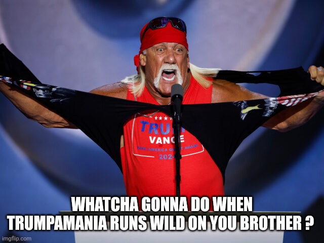 Hulk Hogan | WHATCHA GONNA DO WHEN TRUMPAMANIA RUNS WILD ON YOU BROTHER ? | image tagged in donald trump | made w/ Imgflip meme maker
