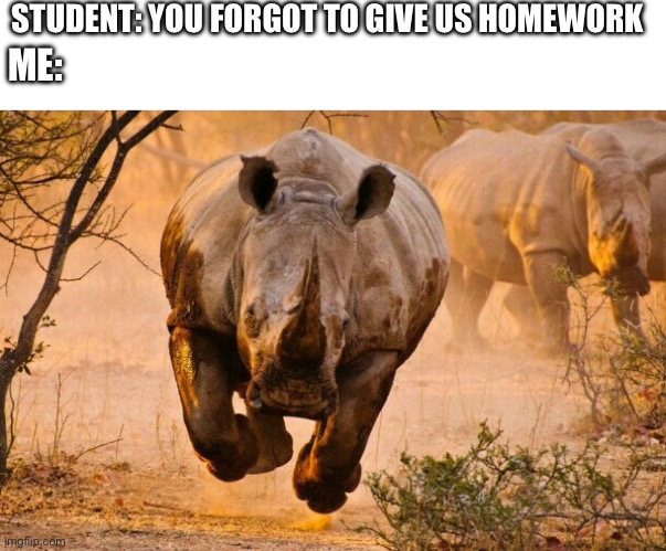 Rhino  | STUDENT: YOU FORGOT TO GIVE US HOMEWORK; ME: | image tagged in rhino | made w/ Imgflip meme maker