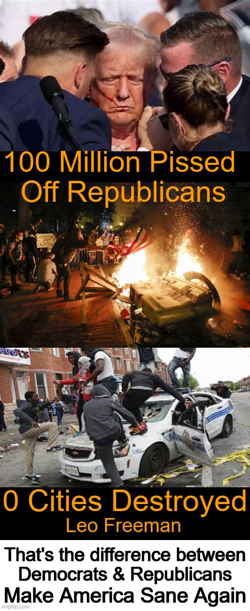 Patriotism, Not Progressive Pandemonium | 100 Million Pissed 
Off Republicans; 0 Cities Destroyed; Leo Freeman; That's the difference between
Democrats & Republicans; Make America Sane Again | image tagged in patriots,progressives,mostly peaceful pandemonium,donald trump,choices,political humor | made w/ Imgflip meme maker