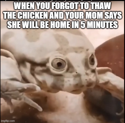 the biggest mistake | WHEN YOU FORGOT TO THAW THE CHICKEN AND YOUR MOM SAYS SHE WILL BE HOME IN 5 MINUTES | image tagged in suprized frog | made w/ Imgflip meme maker