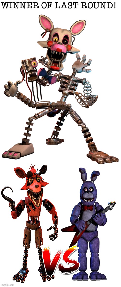 Mangle wins with no objections! Next is Withered Foxy and Bonnie! | WINNER OF LAST ROUND! | image tagged in fnaf,jumpscare,tournament | made w/ Imgflip meme maker