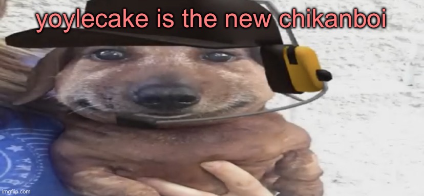 chucklenuts | yoylecake is the new chikanboi | image tagged in chucklenuts | made w/ Imgflip meme maker