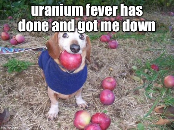 this dock | uranium fever has done and got me down | image tagged in this dock | made w/ Imgflip meme maker