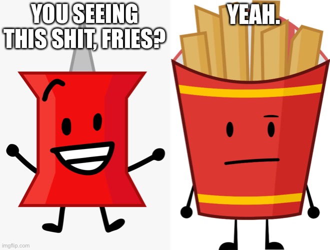 YOU SEEING THIS SHIT, FRIES? YEAH. | image tagged in pin bfdi,fries | made w/ Imgflip meme maker