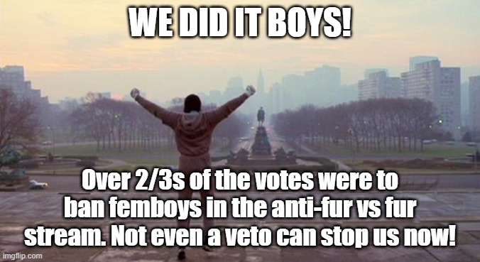 (Mod note: but that means no gore ):) | WE DID IT BOYS! Over 2/3s of the votes were to ban femboys in the anti-fur vs fur stream. Not even a veto can stop us now! | image tagged in rocky - we did it | made w/ Imgflip meme maker