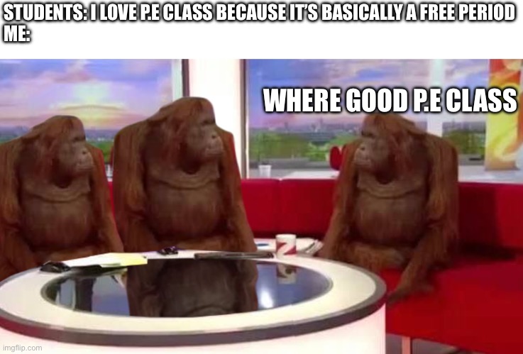 where monkey | STUDENTS: I LOVE P.E CLASS BECAUSE IT’S BASICALLY A FREE PERIOD
ME:; WHERE GOOD P.E CLASS | image tagged in where monkey | made w/ Imgflip meme maker