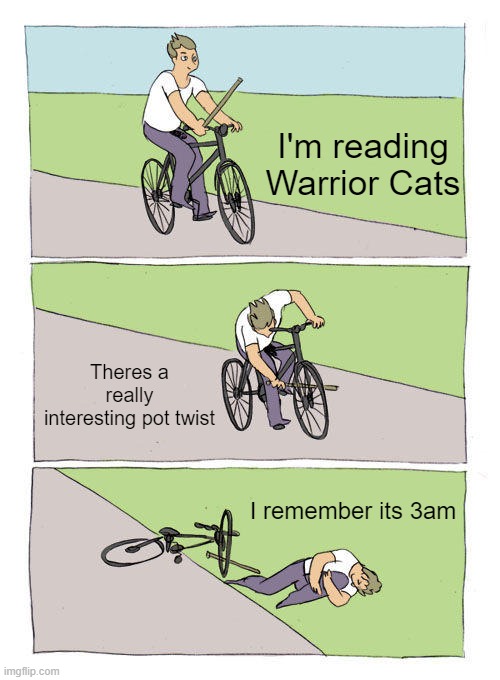 these books keep me up late XD | I'm reading Warrior Cats; Theres a really interesting pot twist; I remember its 3am | image tagged in memes,bike fall | made w/ Imgflip meme maker