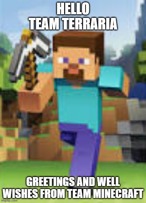 minecraft steve | HELLO TEAM TERRARIA; GREETINGS AND WELL WISHES FROM TEAM MINECRAFT | image tagged in minecraft steve,terraria | made w/ Imgflip meme maker