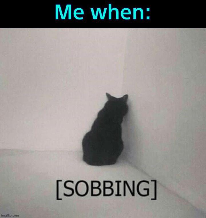 . | Me when: | image tagged in sobbing cat | made w/ Imgflip meme maker