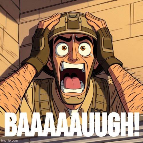 US Soldier Freaking out | BAAAAAUUGH! | image tagged in us soldier freaking out | made w/ Imgflip meme maker