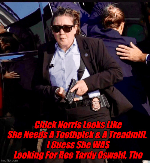 Stealthy Ninja ? | Chick Norris Looks Like She Needs A Toothpick & A Treadmill. 
I Guess She WAS Looking For Ree Tardy Oswald, Tho | image tagged in ninja,political meme,politics,funny memes,funny | made w/ Imgflip meme maker