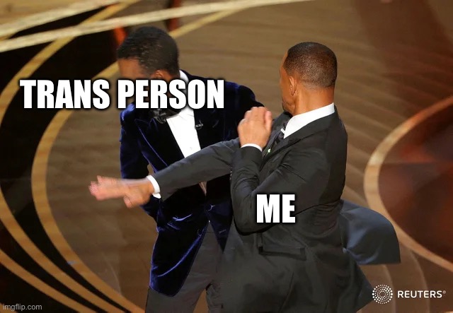 TRANS PERSON ME | image tagged in will smith punching chris rock | made w/ Imgflip meme maker