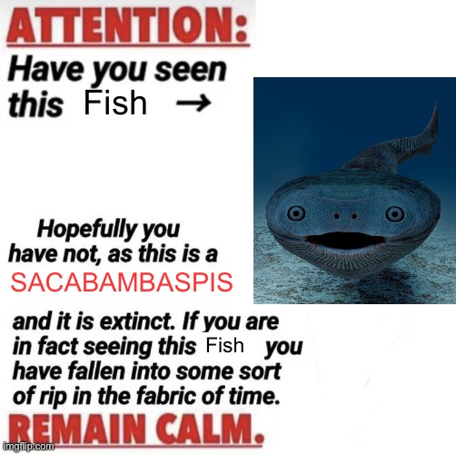 Remain calm | Fish; SACABAMBASPIS; Fish | image tagged in attention have you seen this name,sacabambaspis,fabric of time,extinct,prehistoric,meme | made w/ Imgflip meme maker